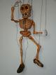 Skelet-drevena-loutka-marionette-vk039|Galerie-Loutky-Marionety-manasci-a-loutkova-divadla|loutky-marionety.cz