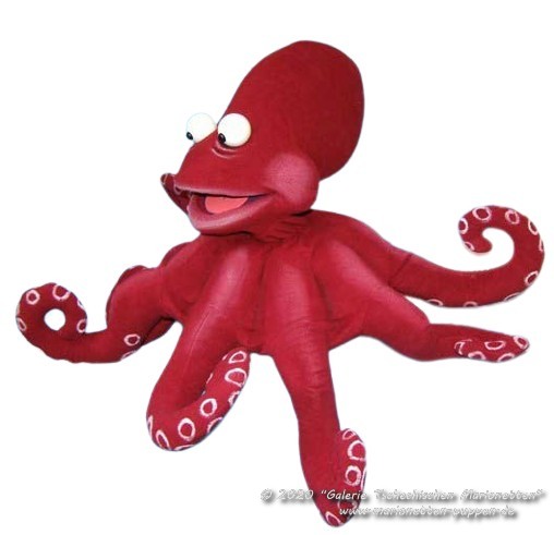 Chobotnice loutka břichomluvece                      
