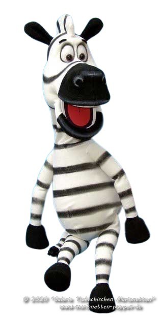 Zebra loutka břichomluvece        